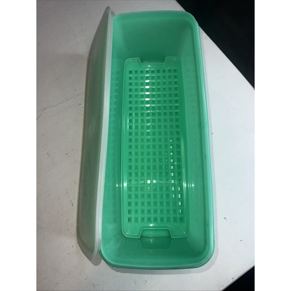 Tupperware Celery Vegetable Green Keeper #782-3 Container w Lid and Vent